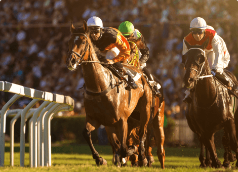 Horses Wagering Guide